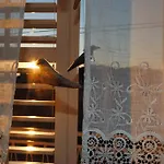 Apartment Optimist