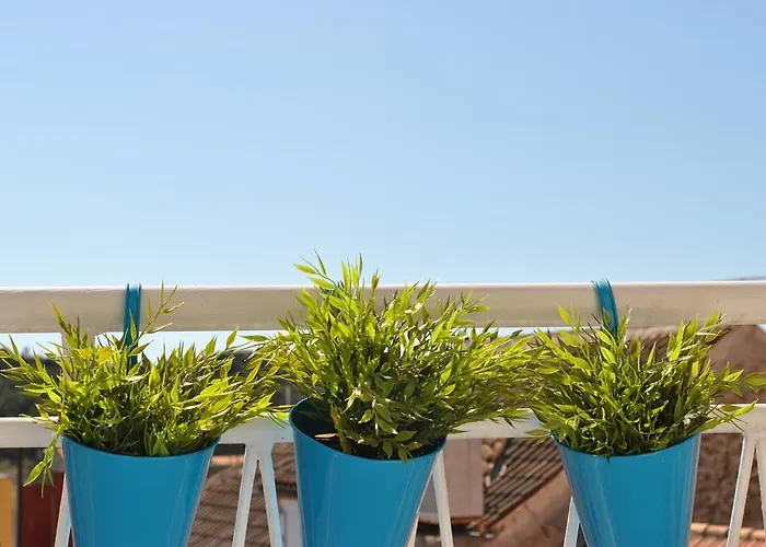 Optimist Appartement *