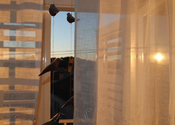 Apartment Optimist